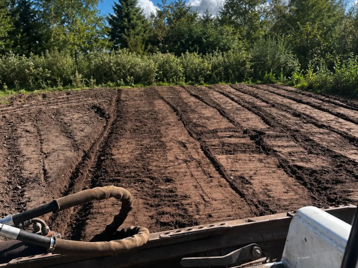 Frisch gefräste und gleichmäßig gelockerte Bodenfläche nach der Bearbeitung mit dem Bobcat
