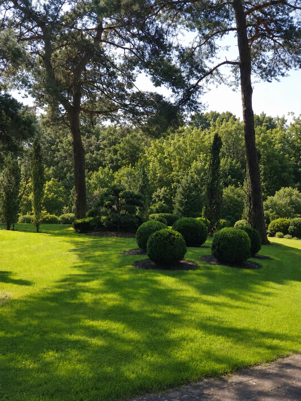Sattgrüne Gartenfläche mit Beeten und rund geschnittenen Formgehölzen
