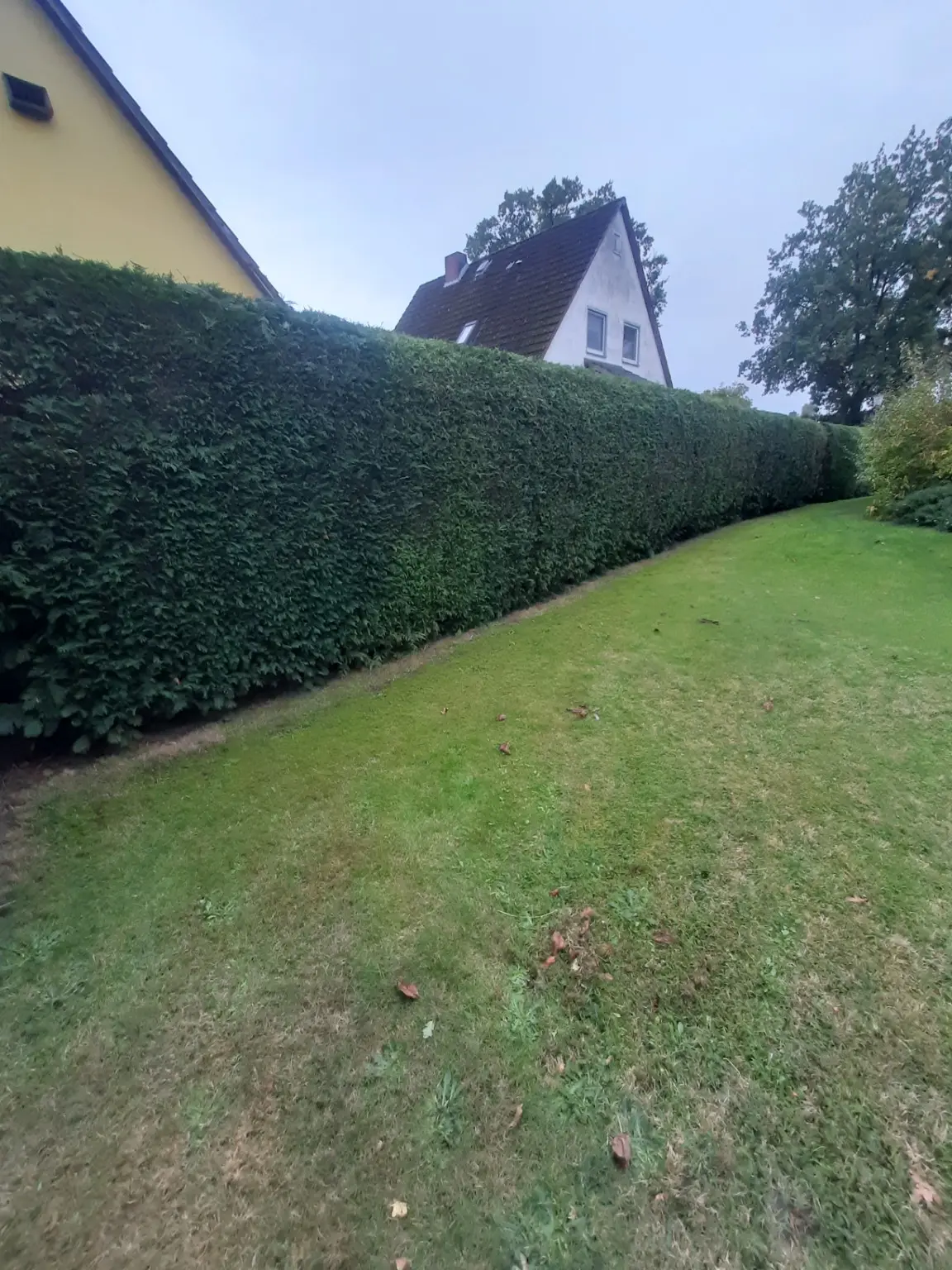 Lange und gleichmäßig zurückgeschnittene Gartenhecke